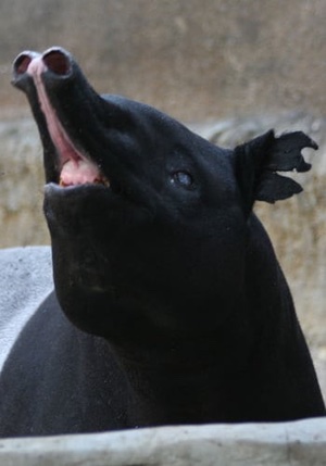 Photo of Benjamin Durnell