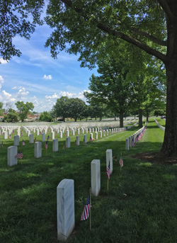 jefferson-baracks-tombstones-flags--portrait-thumb