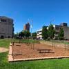 Lucas Gardens Park Fitness Station
