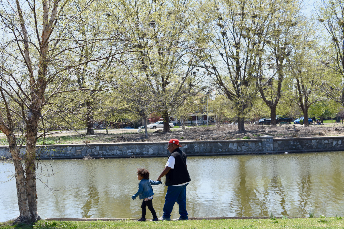 The April 2018 photo shows numerous nests of wading birds at O'Fallon Park.