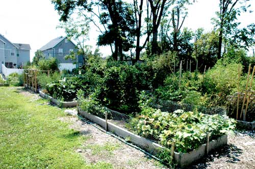 Botanical-Heights-Community-Garden