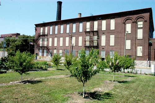 Community-Garden-Orchard-trees
