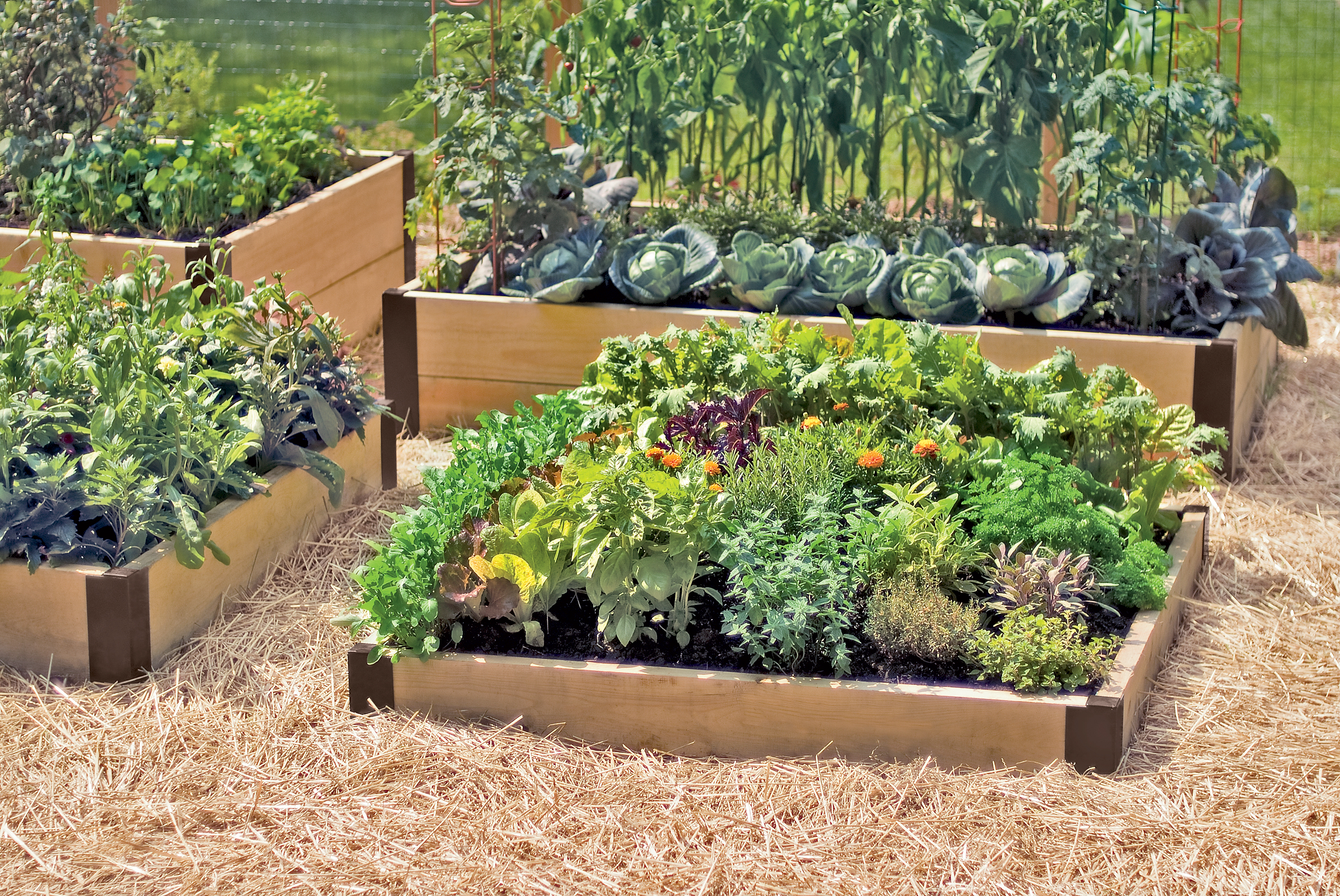 Raised bed